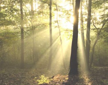 Quantum Light Breath photocredits Pinterest / Vink Academy