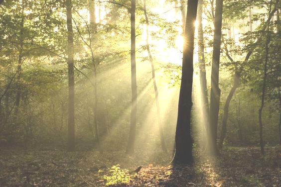 Quantum Light Breath photocredits Pinterest / Vink Academy