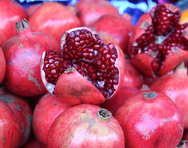 Voeding in de zomer Food in the summer