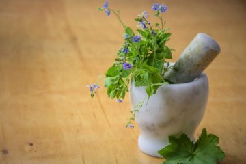 Fytotherapie Phytotherapy